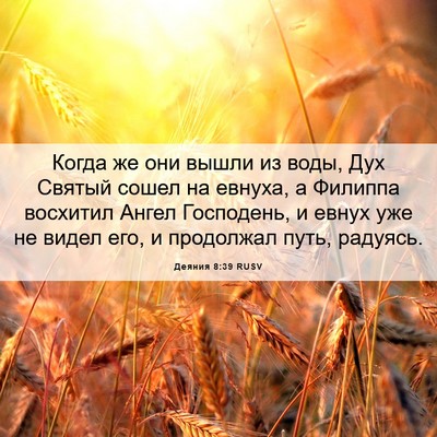 Picture 06 - Деяния 8:39 RUSV - Когда же они вышли из воды, - Bible Verse Picture