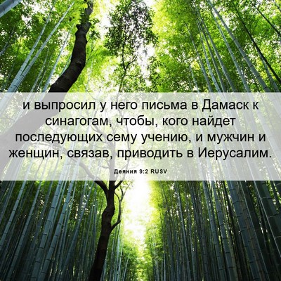 Picture 06 - Деяния 9:2 RUSV - и выпросил у него письма в - Bible Verse Picture