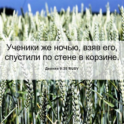 Picture 06 - Деяния 9:25 RUSV - Ученики же ночью, взяв его, - Bible Verse Picture