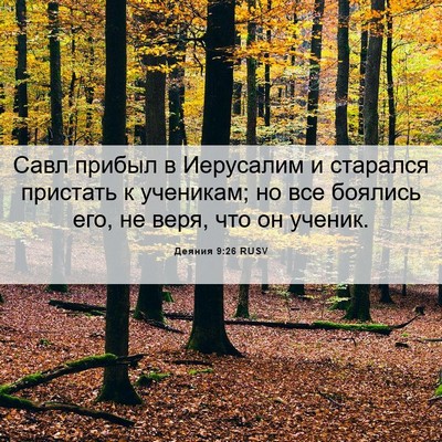 Picture 06 - Деяния 9:26 RUSV - Савл прибыл в Иерусалим и - Bible Verse Picture