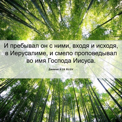 Picture 06 - Деяния 9:28 RUSV - И пребывал он с ними, входя - Bible Verse Picture