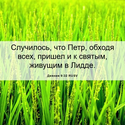 Picture 06 - Деяния 9:32 RUSV - Случилось, что Петр, обходя - Bible Verse Picture