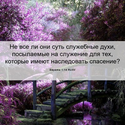 Picture 06 - Евреям 1:14 RUSV - Не все ли они суть - Bible Verse Picture