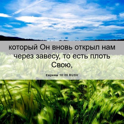 Picture 06 - Евреям 10:20 RUSV - который Он вновь открыл - Bible Verse Picture