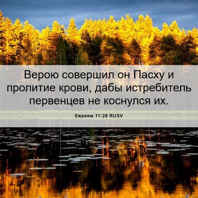 Picture 06 - Евреям 11:28 RUSV - Верою совершил он Пасху и - Bible Verse Picture