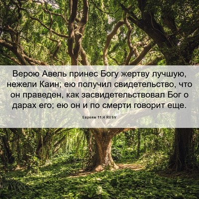 Picture 06 - Евреям 11:4 RUSV - Верою Авель принес Богу - Bible Verse Picture