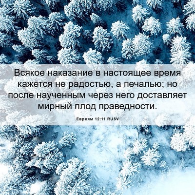 Picture 06 - Евреям 12:11 RUSV - Всякое наказание в - Bible Verse Picture