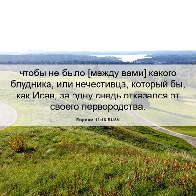 Picture 06 - Евреям 12:16 RUSV - чтобы не было [между вами] - Bible Verse Picture