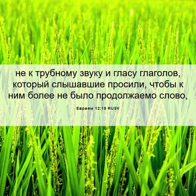 Picture 06 - Евреям 12:19 RUSV - не к трубному звуку и гласу - Bible Verse Picture