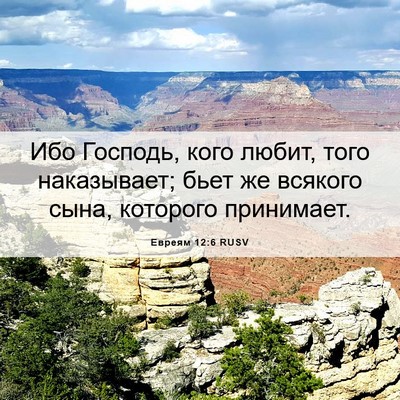Picture 06 - Евреям 12:6 RUSV - Ибо Господь, кого любит, - Bible Verse Picture
