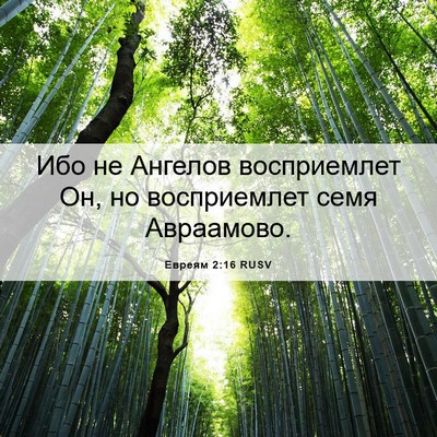 Picture 06 - Евреям 2:16 RUSV - Ибо не Ангелов восприемлет - Bible Verse Picture