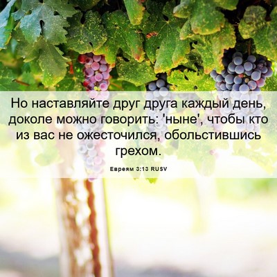 Picture 06 - Евреям 3:13 RUSV - Но наставляйте друг друга - Bible Verse Picture