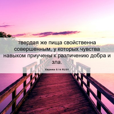 Picture 06 - Евреям 5:14 RUSV - твердая же пища - Bible Verse Picture