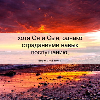 Picture 06 - Евреям 5:8 RUSV - хотя Он и Сын, однако - Bible Verse Picture