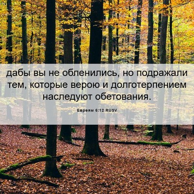 Picture 06 - Евреям 6:12 RUSV - дабы вы не обленились, но - Bible Verse Picture