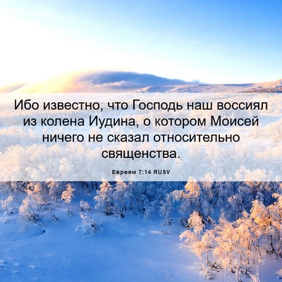 Picture 06 - Евреям 7:14 RUSV - Ибо известно, что Господь - Bible Verse Picture