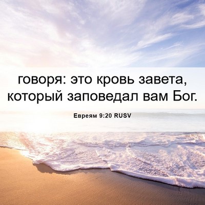 Picture 06 - Евреям 9:20 RUSV - говоря: это кровь завета, - Bible Verse Picture