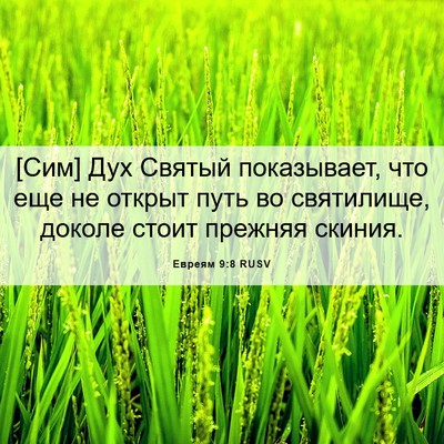 Picture 06 - Евреям 9:8 RUSV - [Сим] Дух Святый - Bible Verse Picture