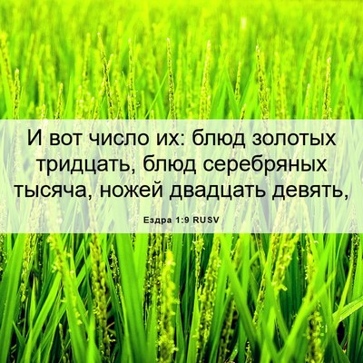 Picture 06 - Ездра 1:9 RUSV - И вот число их: блюд - Bible Verse Picture