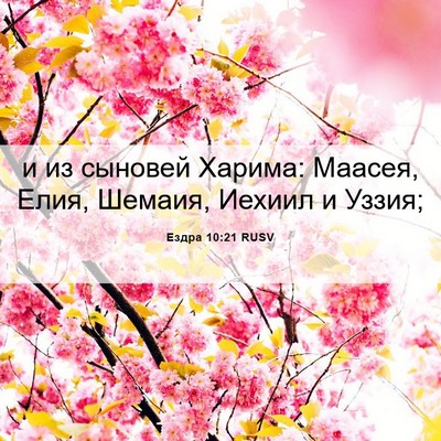 Picture 06 - Ездра 10:21 RUSV - и из сыновей Харима: - Bible Verse Picture