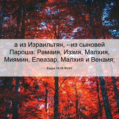 Picture 06 - Ездра 10:25 RUSV - а из Израильтян, --из - Bible Verse Picture