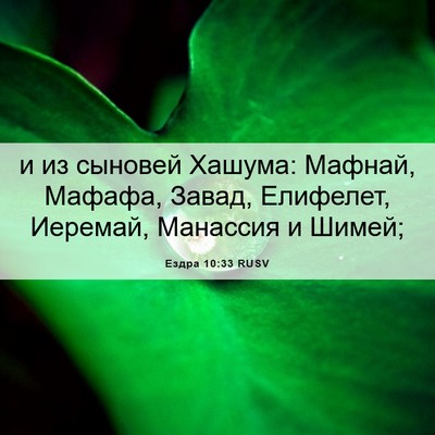 Picture 06 - Ездра 10:33 RUSV - и из сыновей Хашума: - Bible Verse Picture