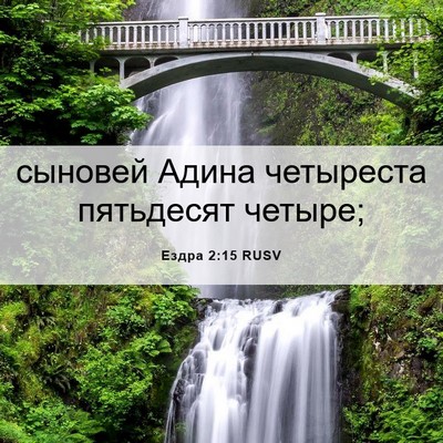 Picture 06 - Ездра 2:15 RUSV - сыновей Адина четыреста - Bible Verse Picture