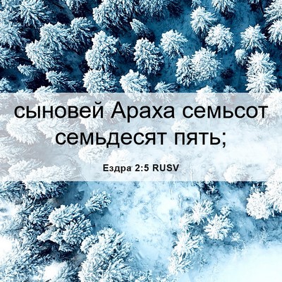 Picture 06 - Ездра 2:5 RUSV - сыновей Араха семьсот - Bible Verse Picture