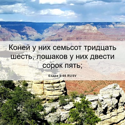 Picture 06 - Ездра 2:66 RUSV - Коней у них семьсот - Bible Verse Picture