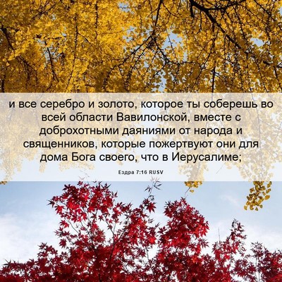 Picture 06 - Ездра 7:16 RUSV - и все серебро и золото, - Bible Verse Picture