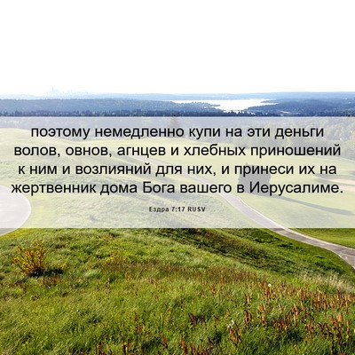 Picture 06 - Ездра 7:17 RUSV - поэтому немедленно купи на - Bible Verse Picture