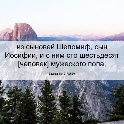 Picture 06 - Ездра 8:10 RUSV - из сыновей Шеломиф, сын - Bible Verse Picture