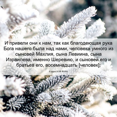 Picture 06 - Ездра 8:18 RUSV - И привели они к нам, так как - Bible Verse Picture