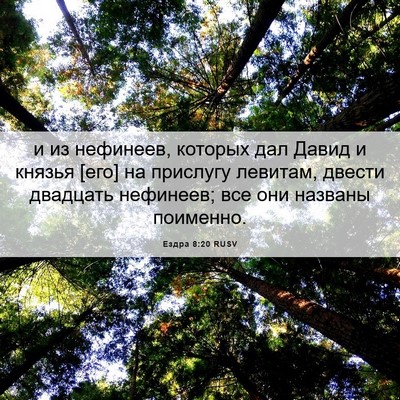 Picture 06 - Ездра 8:20 RUSV - и из нефинеев, которых дал - Bible Verse Picture