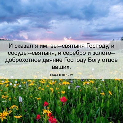 Picture 06 - Ездра 8:28 RUSV - И сказал я им: вы--святыня - Bible Verse Picture