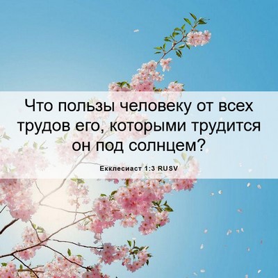 Picture 06 - Екклесиаст 1:3 RUSV - Что пользы человеку от - Bible Verse Picture