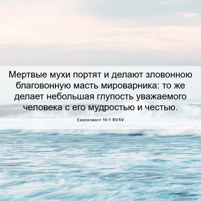 Picture 06 - Екклесиаст 10:1 RUSV - Мертвые мухи портят и - Bible Verse Picture