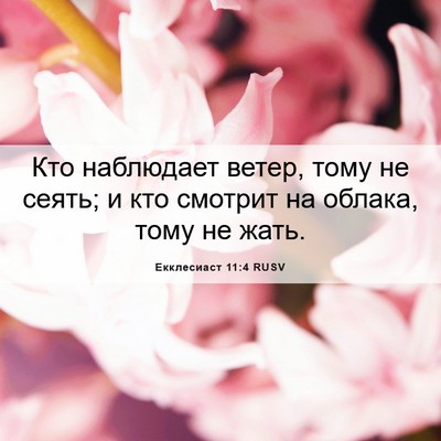 Picture 06 - Екклесиаст 11:4 RUSV - Кто наблюдает ветер, тому - Bible Verse Picture