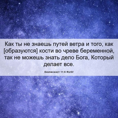 Picture 06 - Екклесиаст 11:5 RUSV - Как ты не знаешь путей - Bible Verse Picture