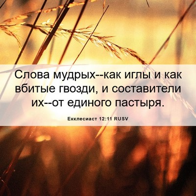 Picture 06 - Екклесиаст 12:11 RUSV - Слова мудрых--как иглы и - Bible Verse Picture