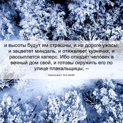 Picture 06 - Екклесиаст 12:5 RUSV - и высоты будут им страшны, - Bible Verse Picture