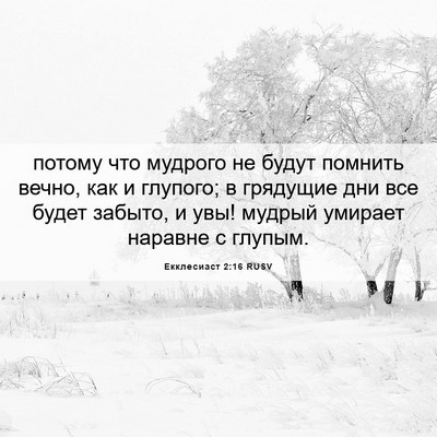 Picture 06 - Екклесиаст 2:16 RUSV - потому что мудрого не - Bible Verse Picture