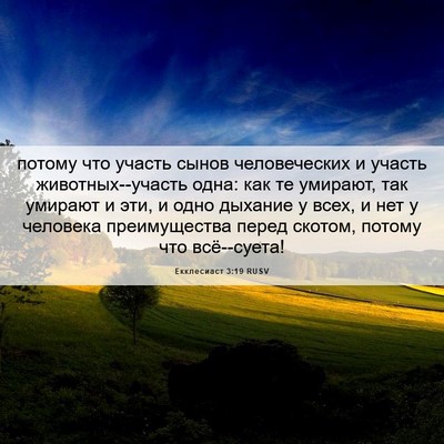 Picture 06 - Екклесиаст 3:19 RUSV - потому что участь сынов - Bible Verse Picture