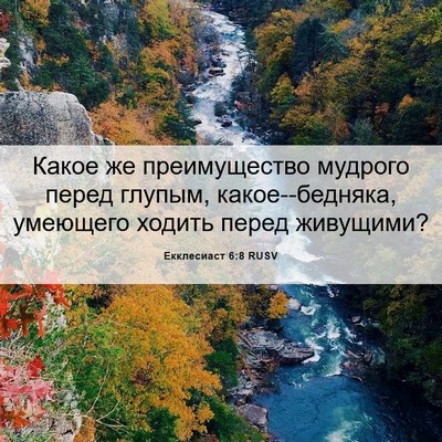 Picture 06 - Екклесиаст 6:8 RUSV - Какое же преимущество - Bible Verse Picture