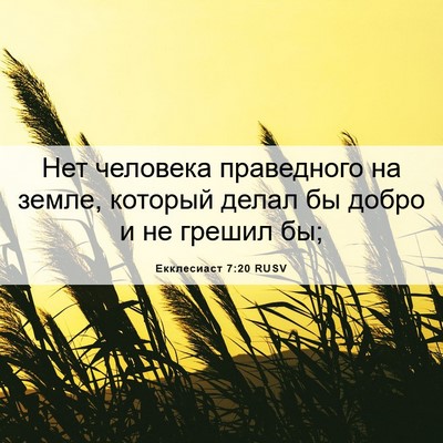 Picture 06 - Екклесиаст 7:20 RUSV - Нет человека праведного на - Bible Verse Picture