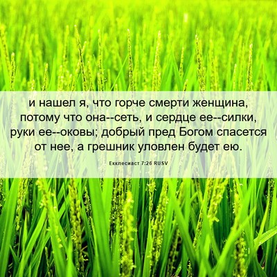 Picture 06 - Екклесиаст 7:26 RUSV - и нашел я, что горче смерти - Bible Verse Picture