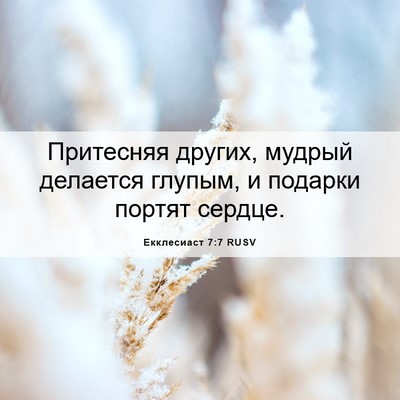 Picture 06 - Екклесиаст 7:7 RUSV - Притесняя других, мудрый - Bible Verse Picture