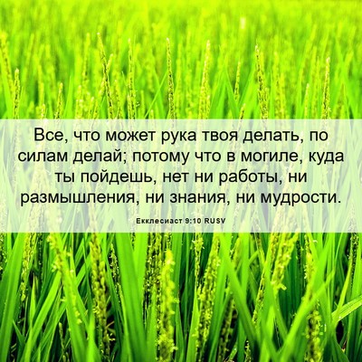 Picture 06 - Екклесиаст 9:10 RUSV - Все, что может рука твоя - Bible Verse Picture