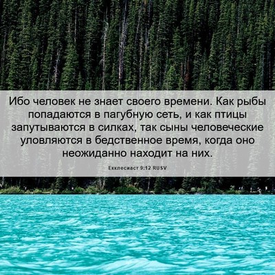 Picture 06 - Екклесиаст 9:12 RUSV - Ибо человек не знает - Bible Verse Picture