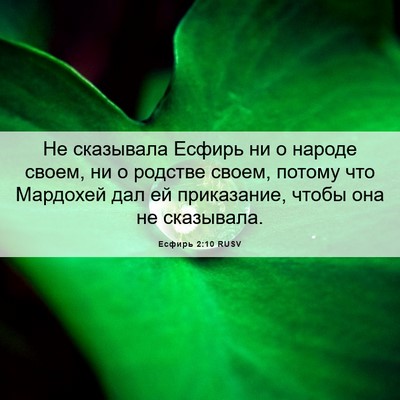 Picture 06 - Есфирь 2:10 RUSV - Не сказывала Есфирь ни о - Bible Verse Picture
